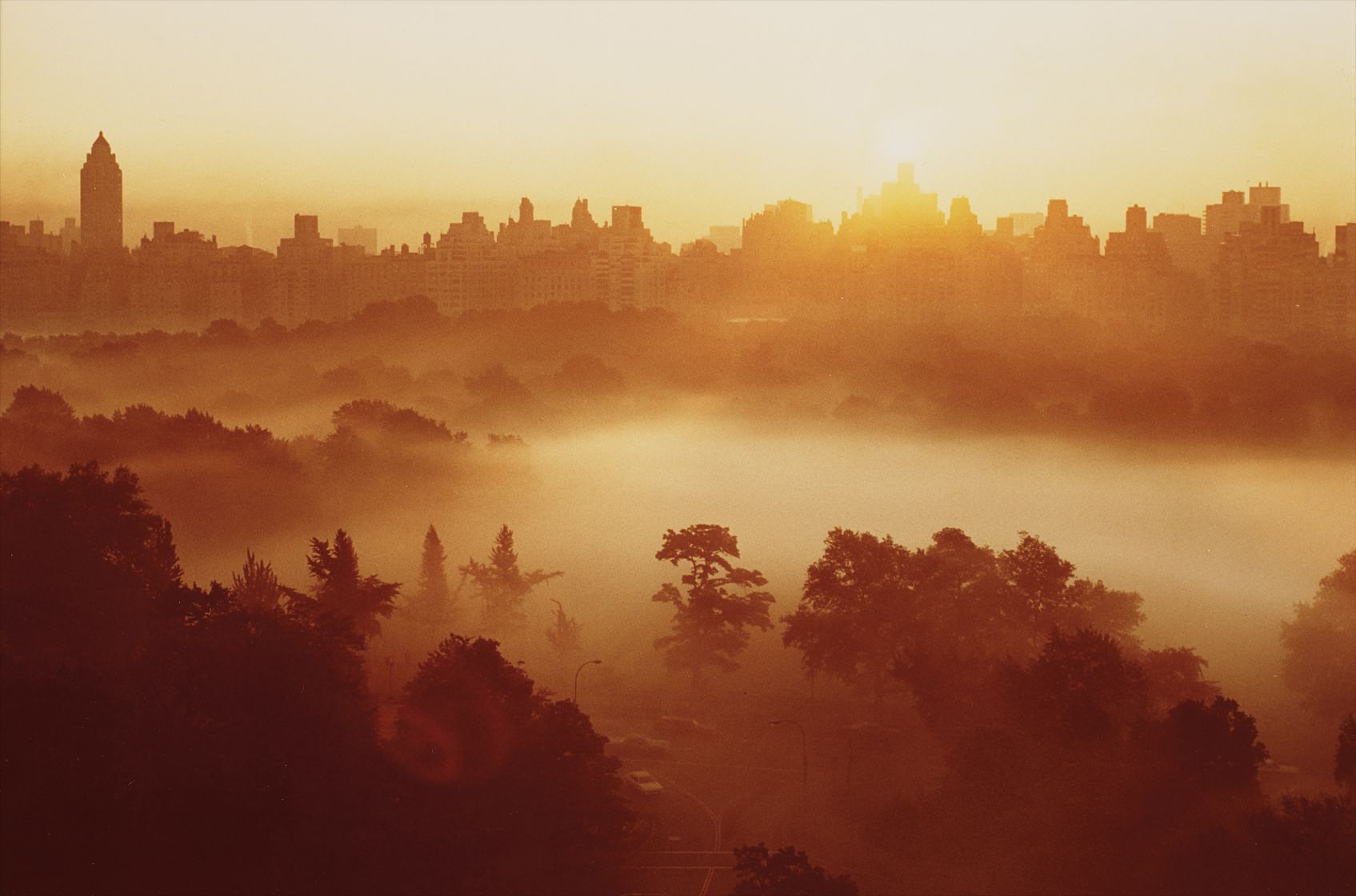 Ruth Orkin — Mist over Sheep Meadow, NYC
