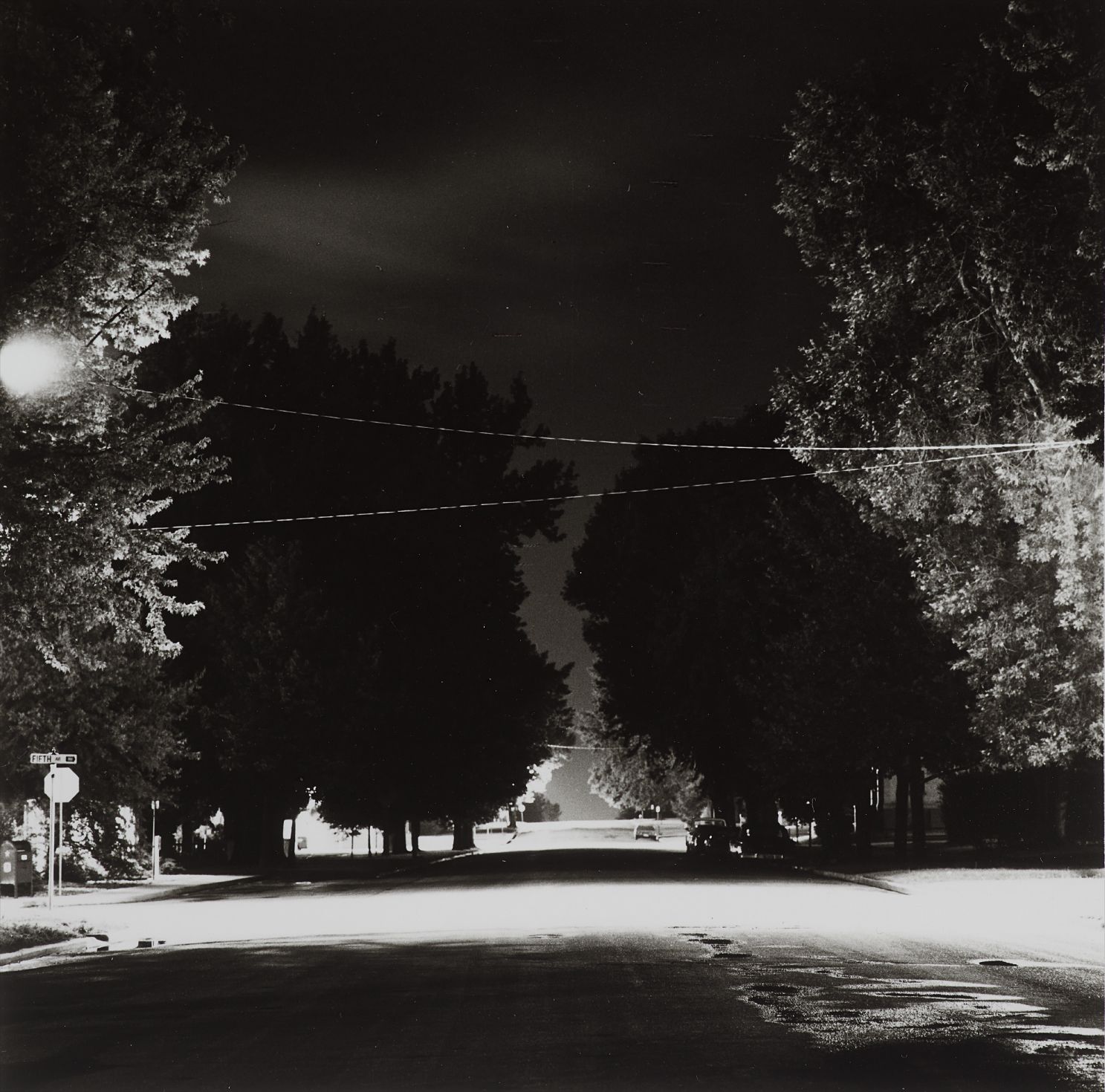 Robert Adams — Longmont, Colorado