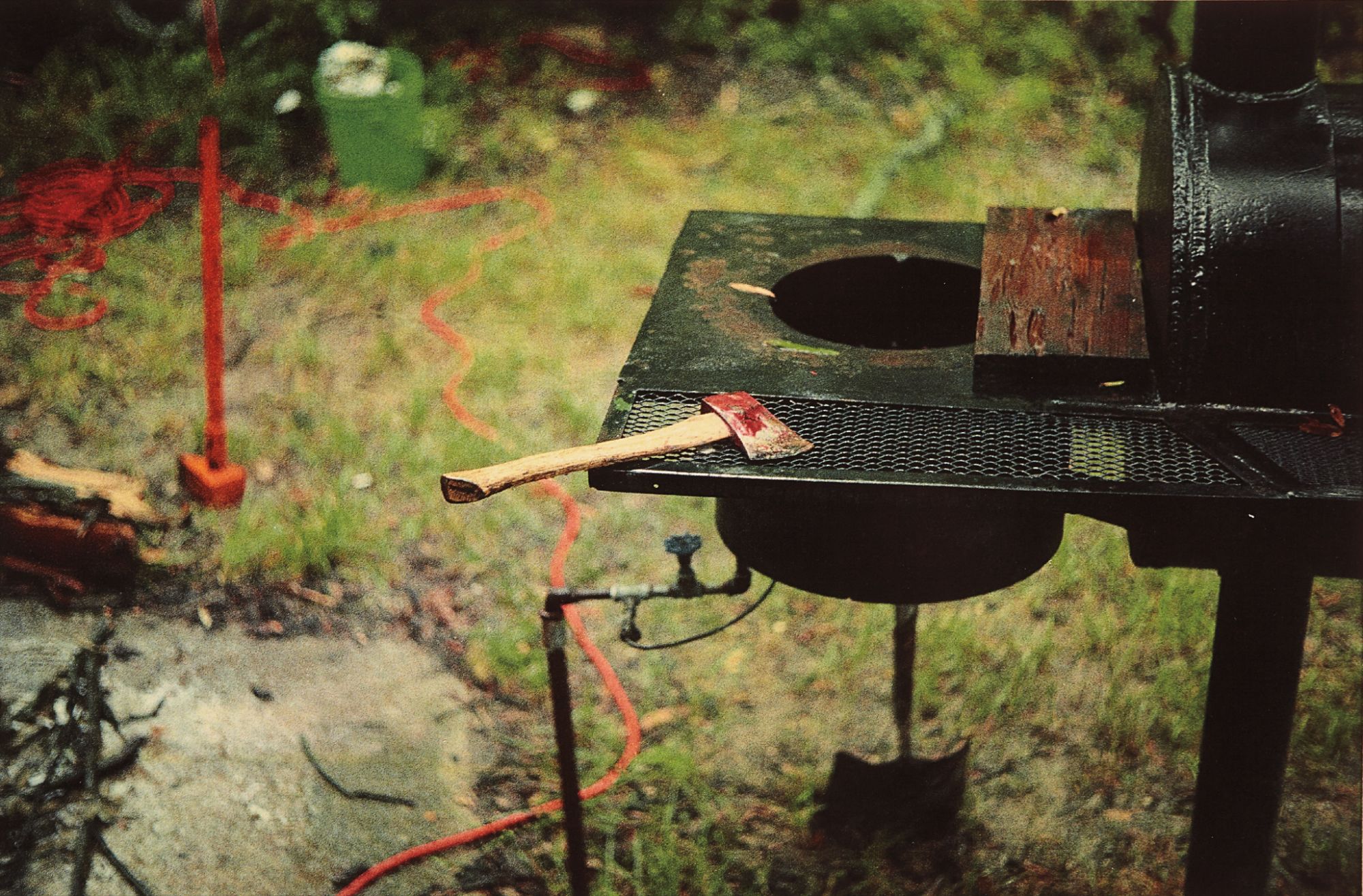 William Eggleston — Near the River at Greenville, Mississippi, (Red Axe)