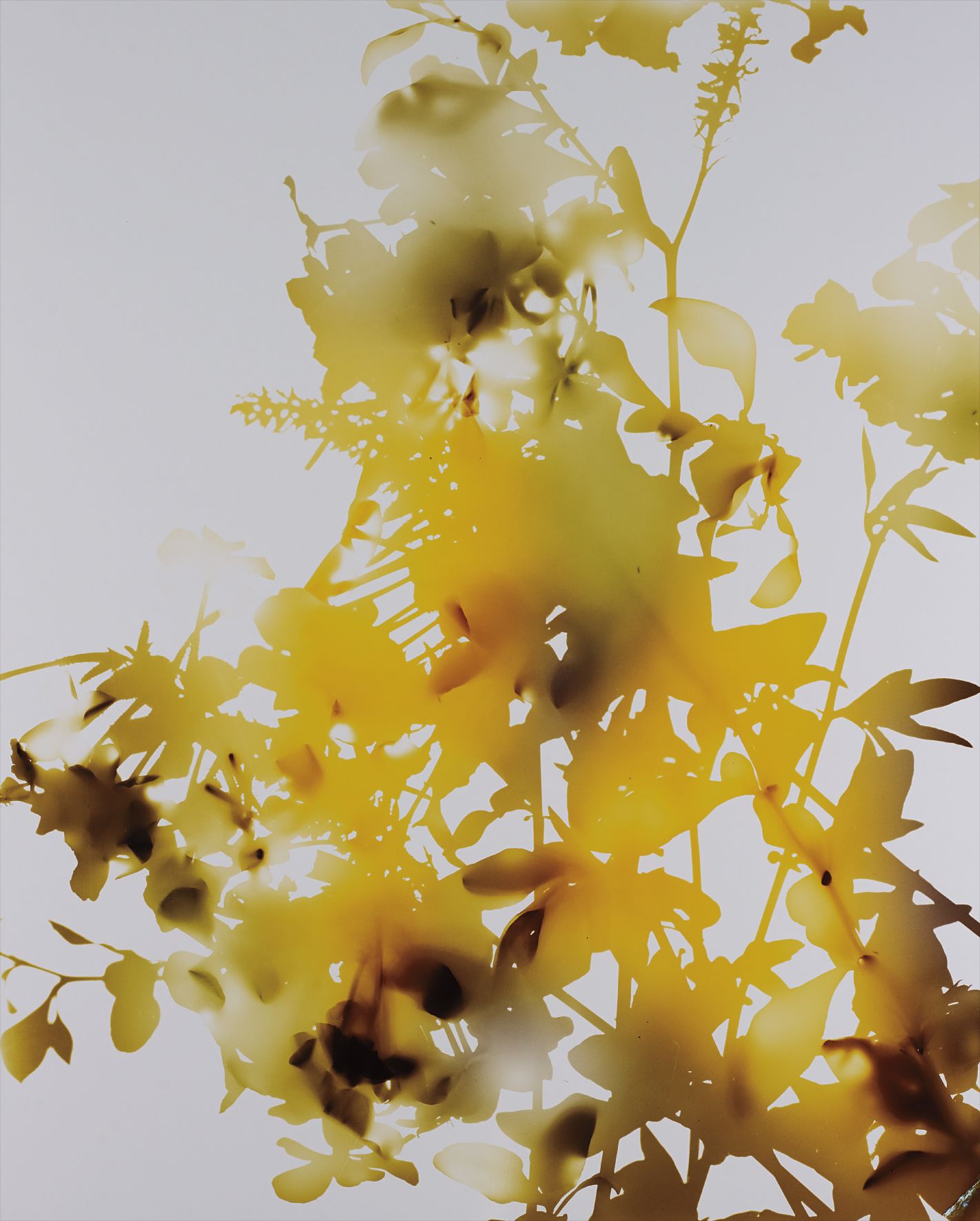 James Welling — 009