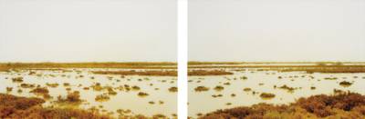 Les Paradis I and II