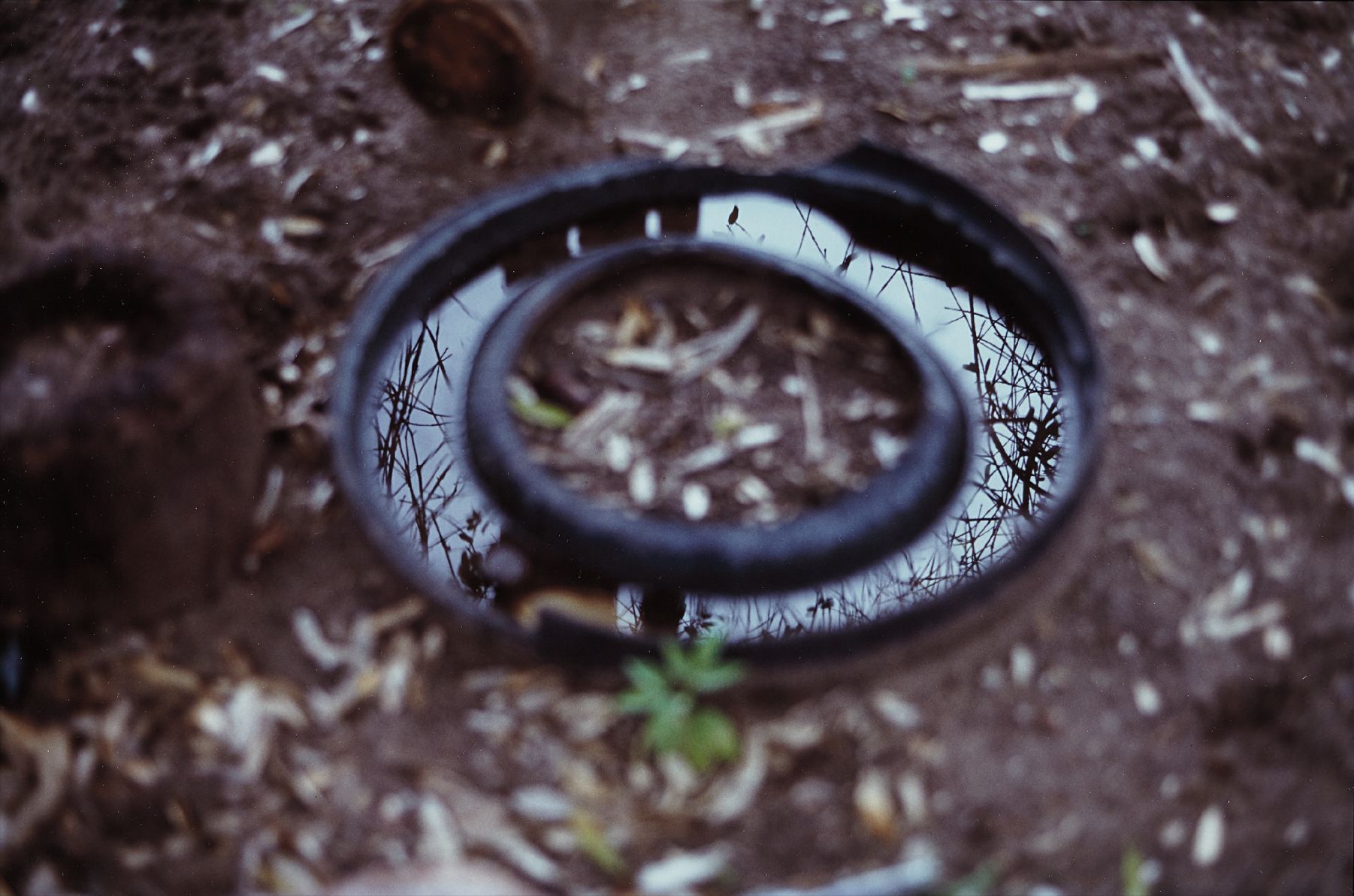 Gabriel Orozco — Round Mirror Distance