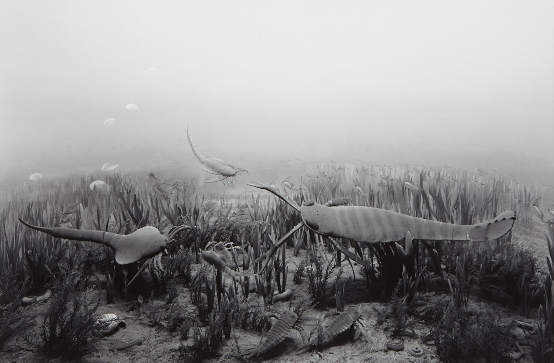 Hiroshi Sugimoto — Silurian Period