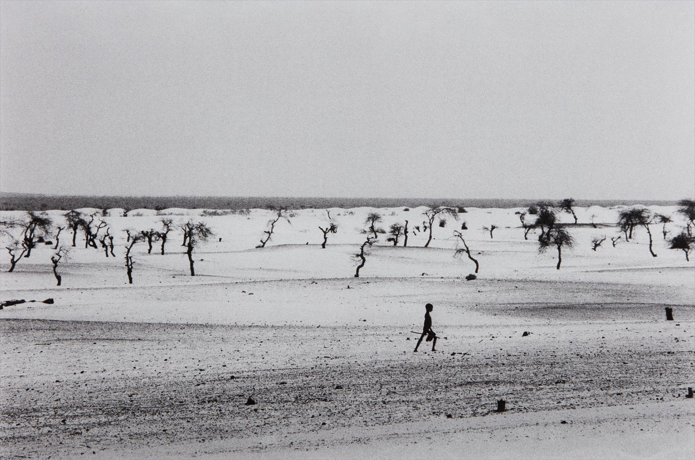 Sebastião Salgado — Site of the now dried Lake Faguibine, Mali, Africa