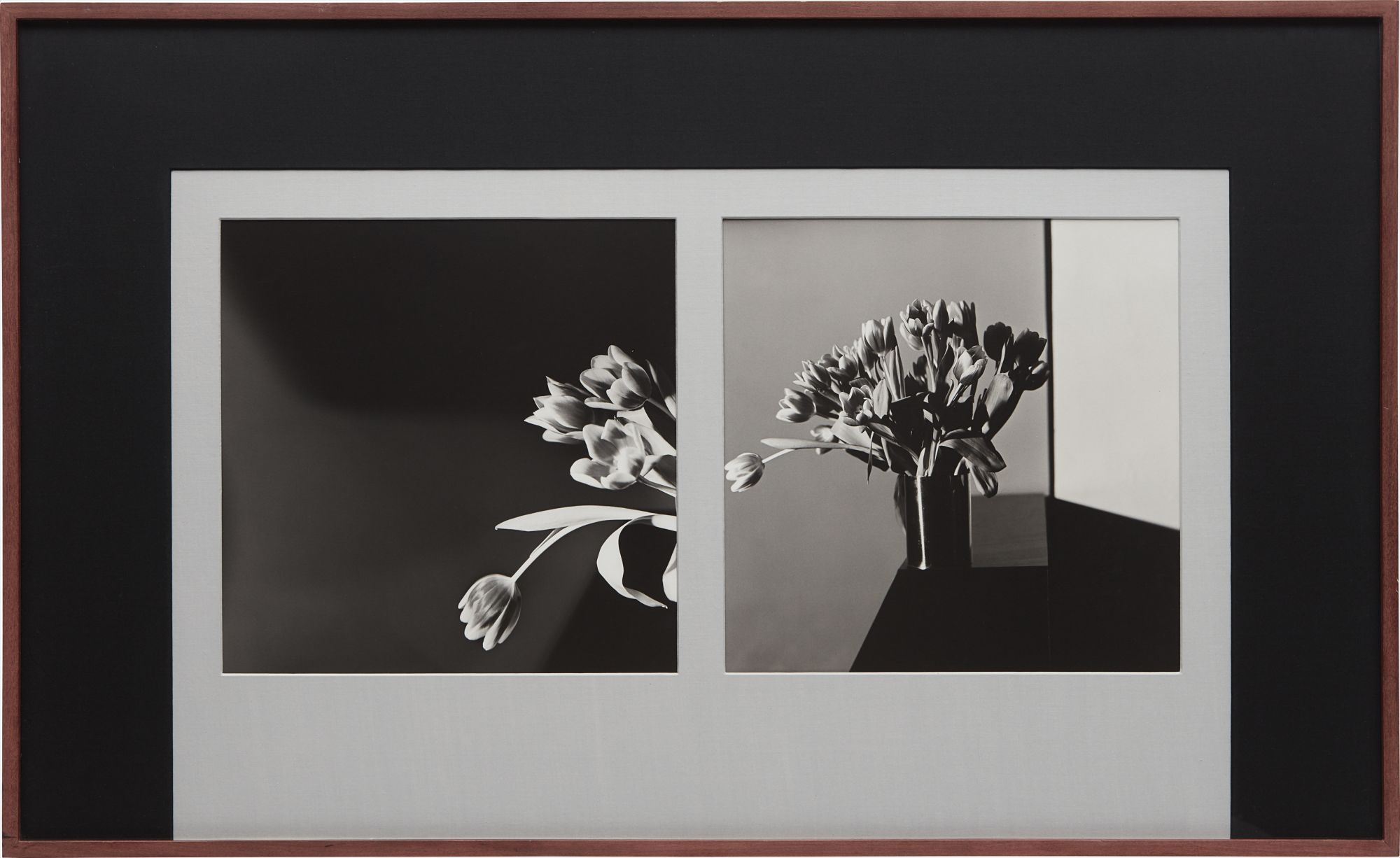 Robert Mapplethorpe — Tulips