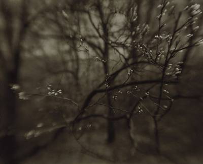 The Coming of Spring