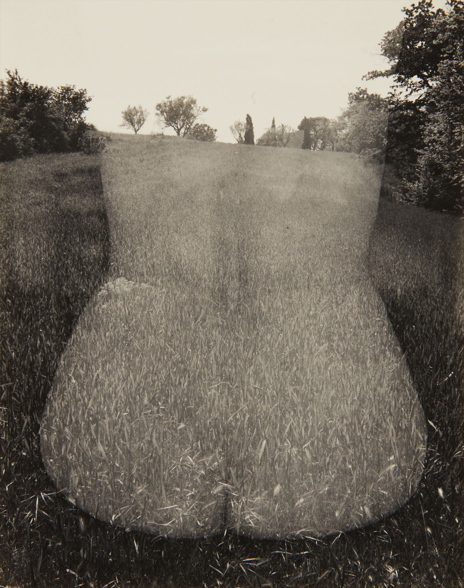 Harry Callahan — Aix-en-Provence (Nude, Back)