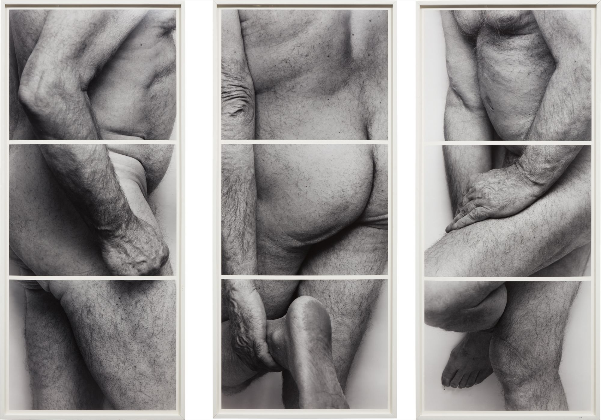 Self-Portrait, Frieze, No. 4, 3 Panels