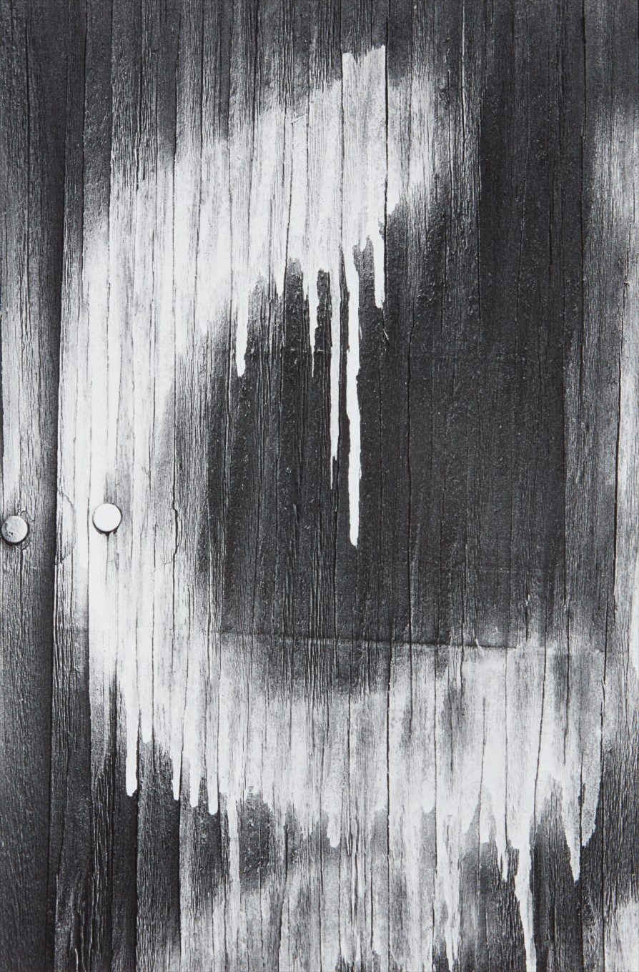 Lee Friedlander — New Orleans, Louisiana