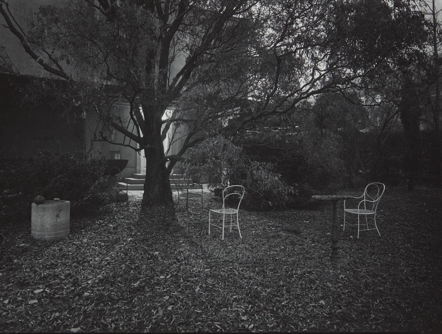 A Walk in the Magic Garden