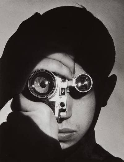 The Photojournalist (Dennis Stock)