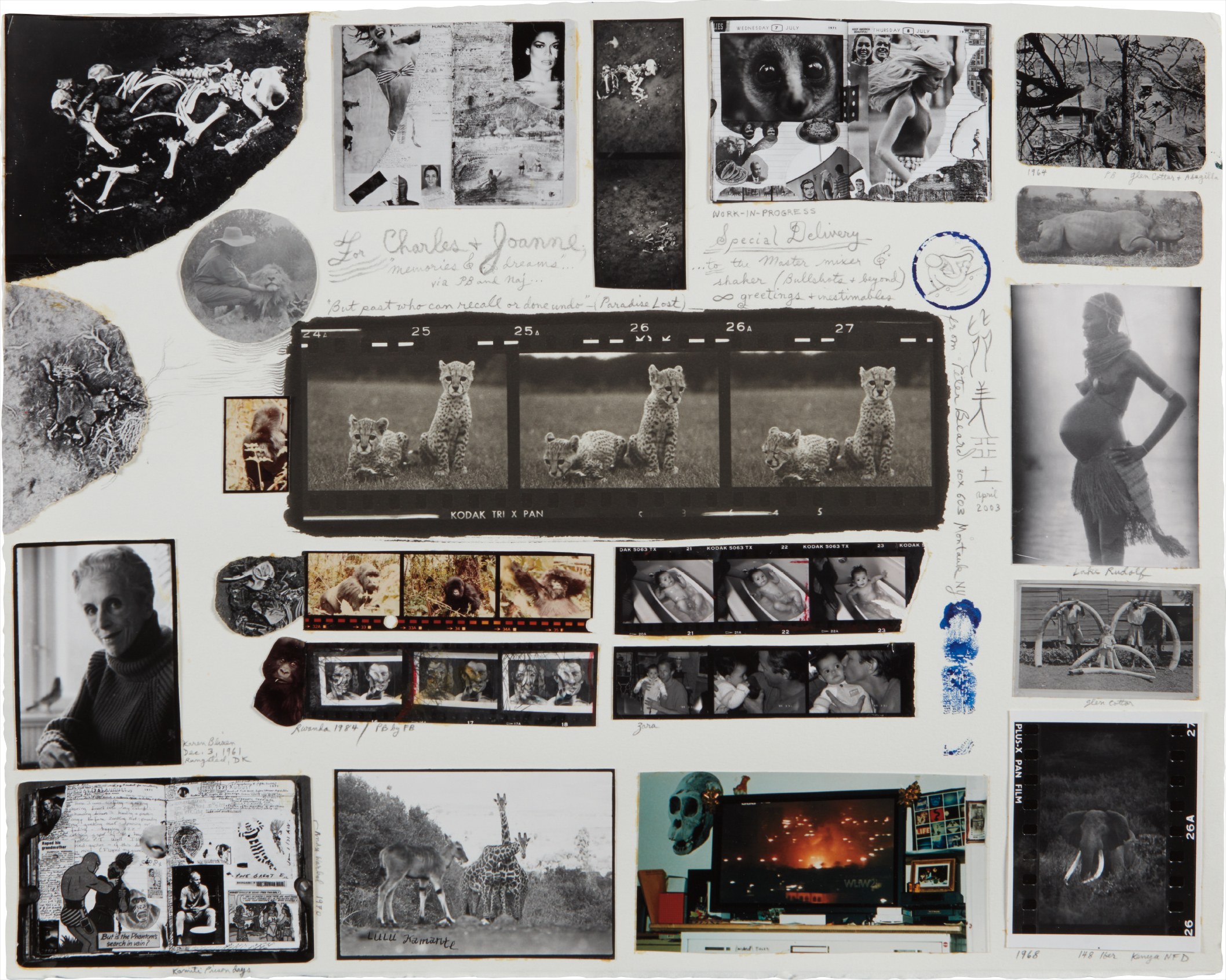 Orphaned Cheetah Cubs (Last Word from Paradise), Mweiga Park Headquarters, near Nyeri, Kenya, 1968 and Beside the carcass of a beast, 1909