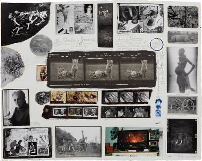 Orphaned Cheetah Cubs (Last Word from Paradise), Mweiga Park Headquarters, near Nyeri, Kenya, 1968 and Beside the carcass of a beast, 1909