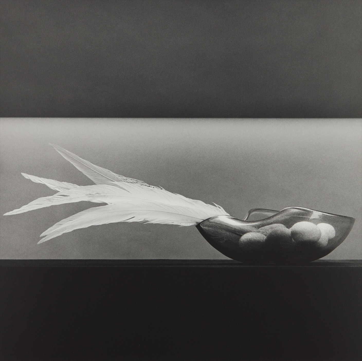 Robert Mapplethorpe — Feathers and Eggs