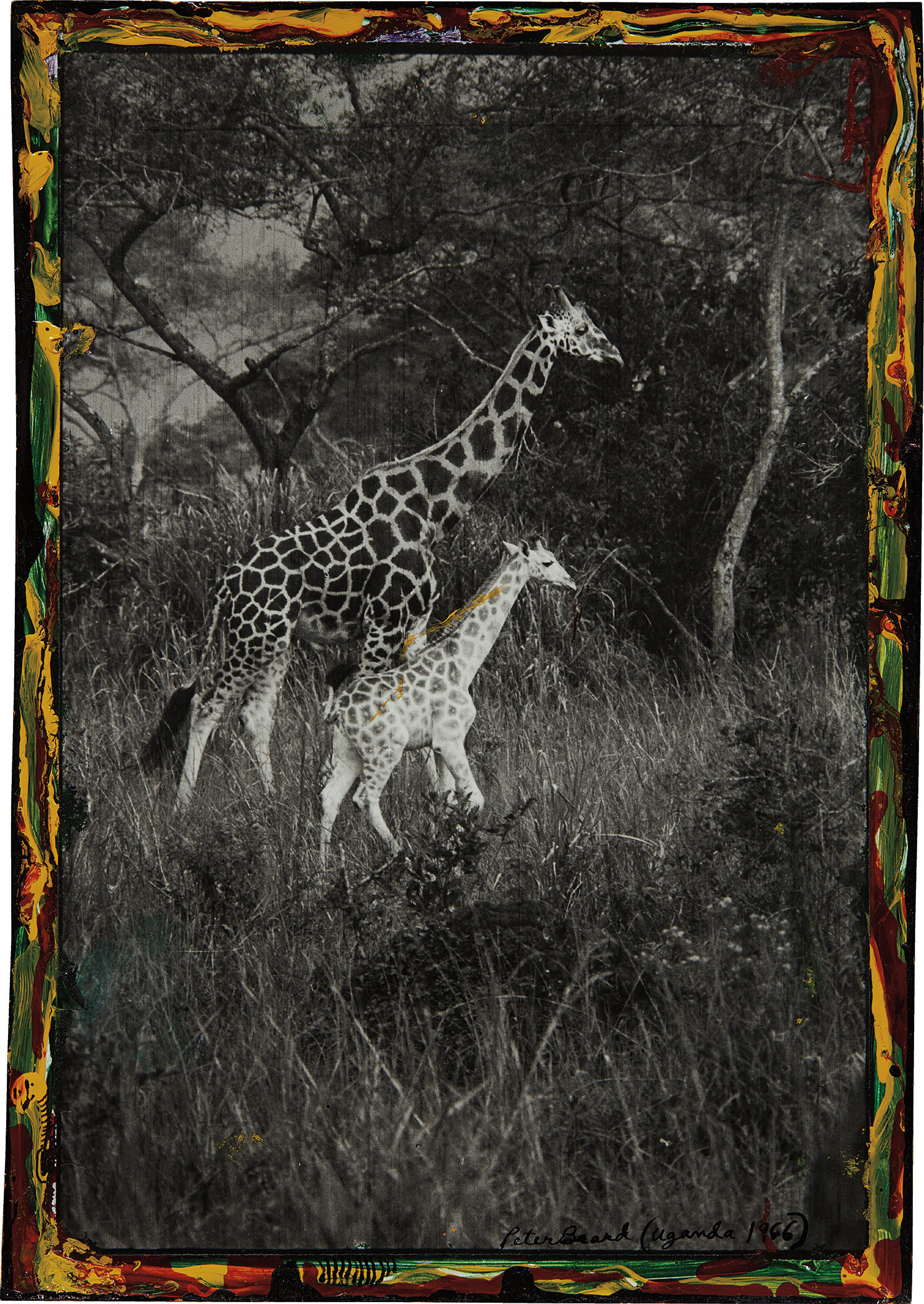 Peter Beard — Uganda