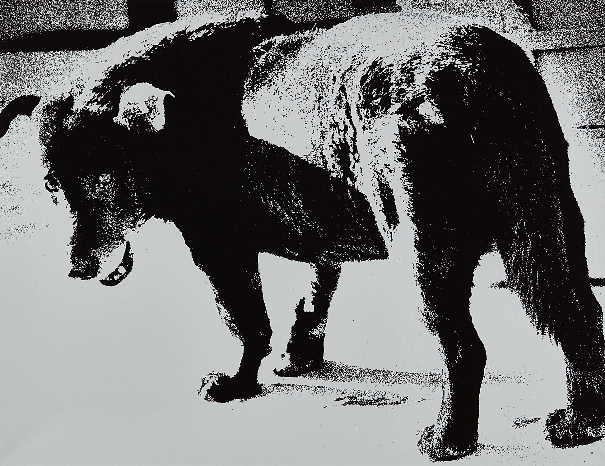 Daidō Moriyama — Stray Dog, Misawa, Aomori