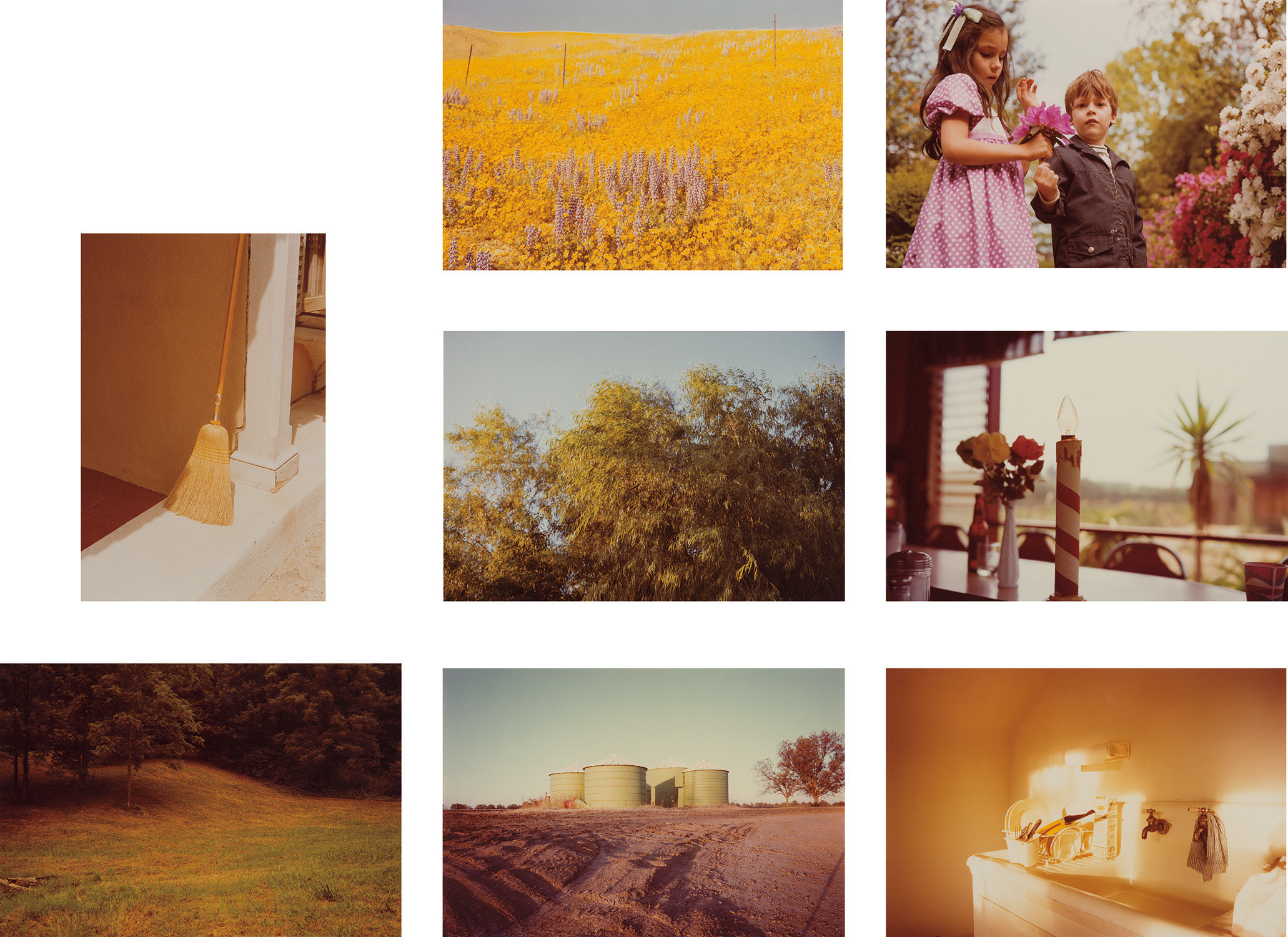 William Eggleston — Morals of Vision