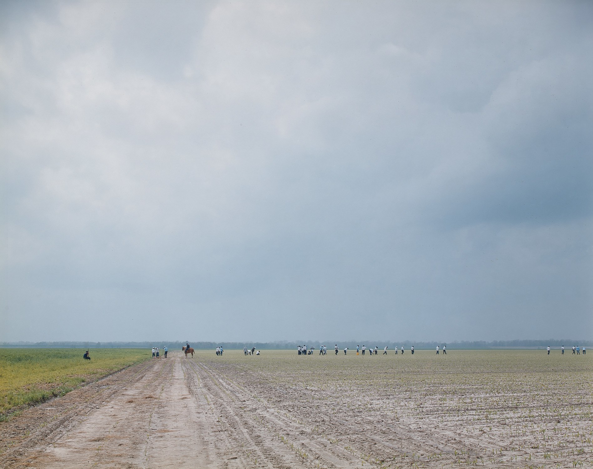 Alec Soth — The Farm, Angola State Prison, Angola, LA
