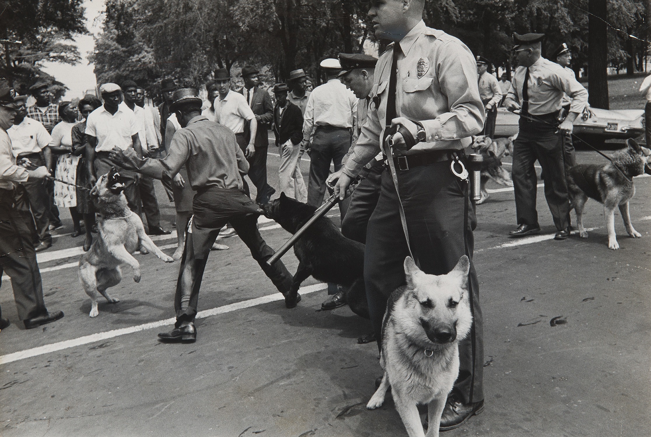 Charles Moore — Dogs used by Birmingham, Ala. Cops to quell Negro Race Riots