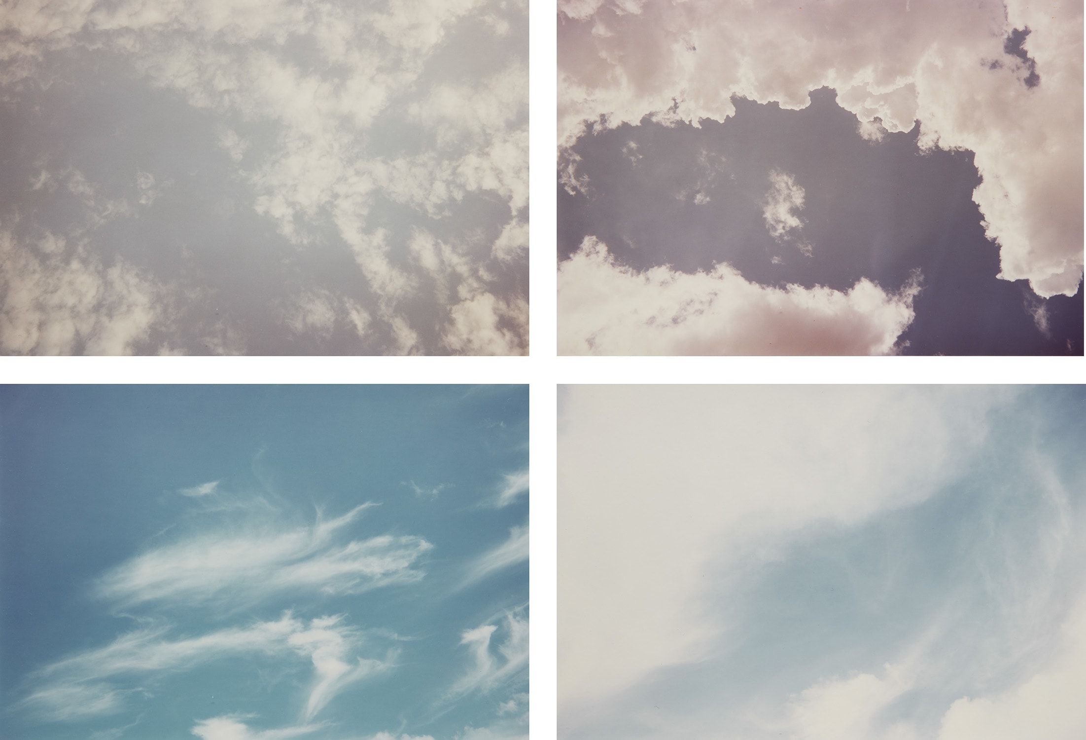 William Eggleston — Wedgewood Blue