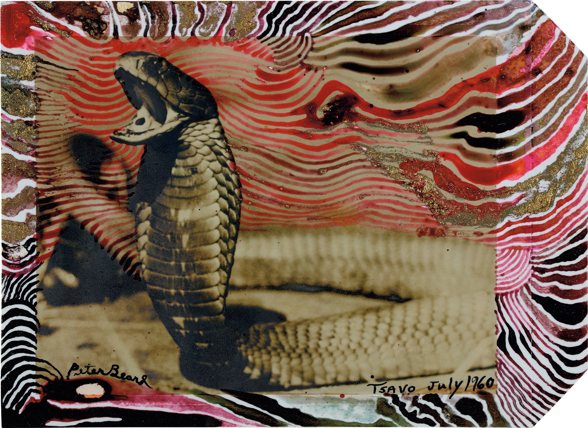 Peter Beard — Tsavo, July