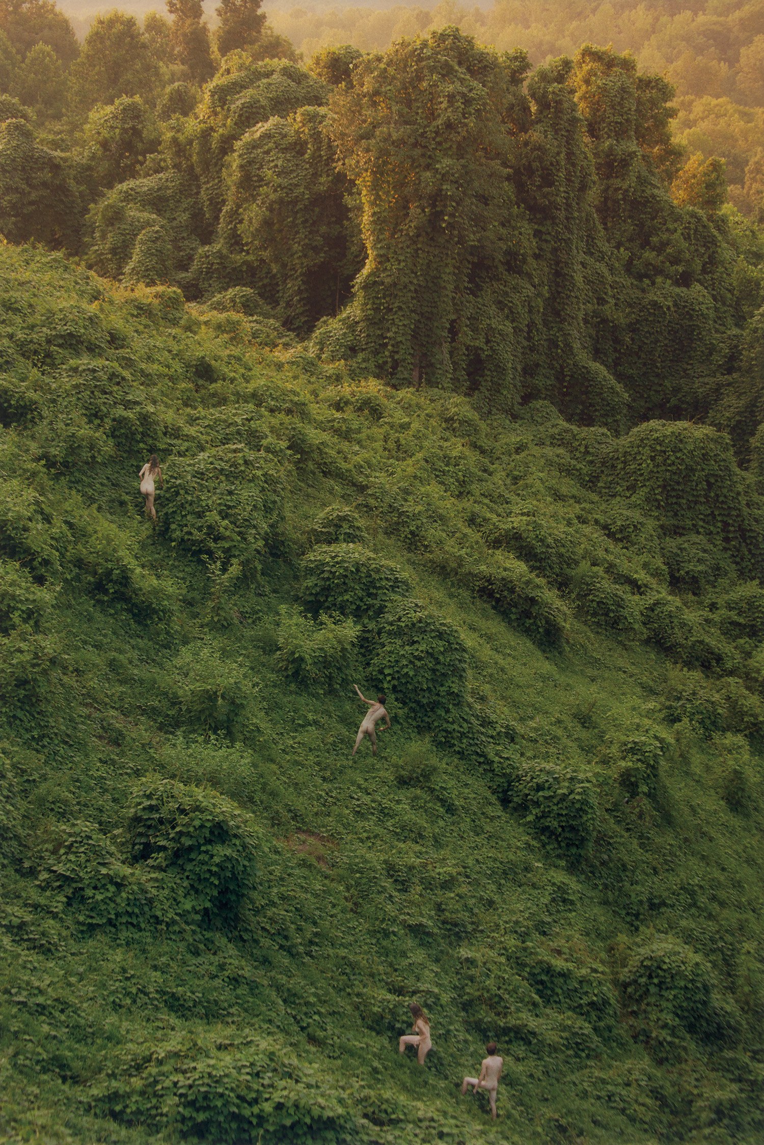 Ryan McGinley — Kudzu