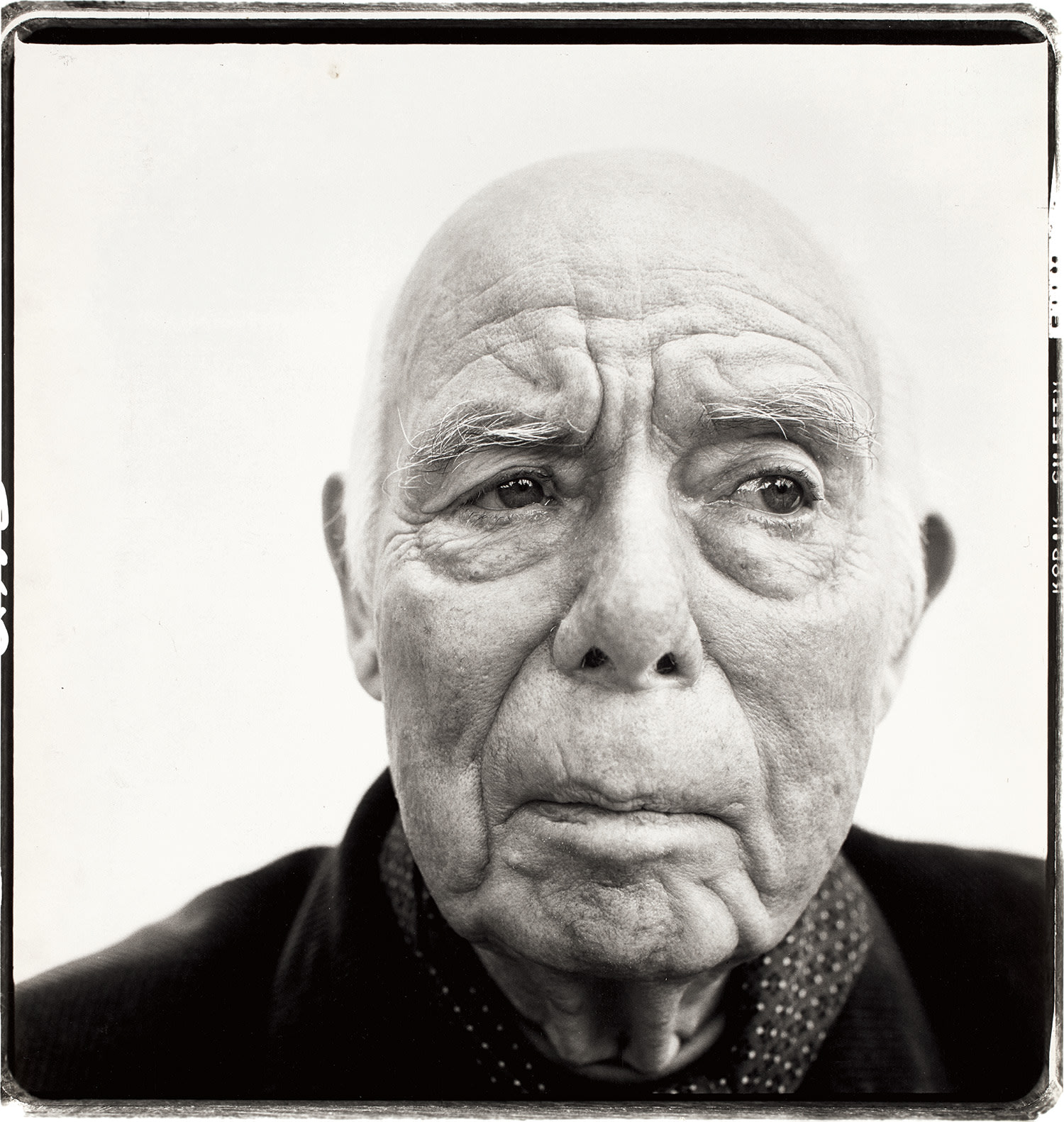 Richard Avedon — Jean Renoir, director, Beverly Hills, California, April 11, 1972