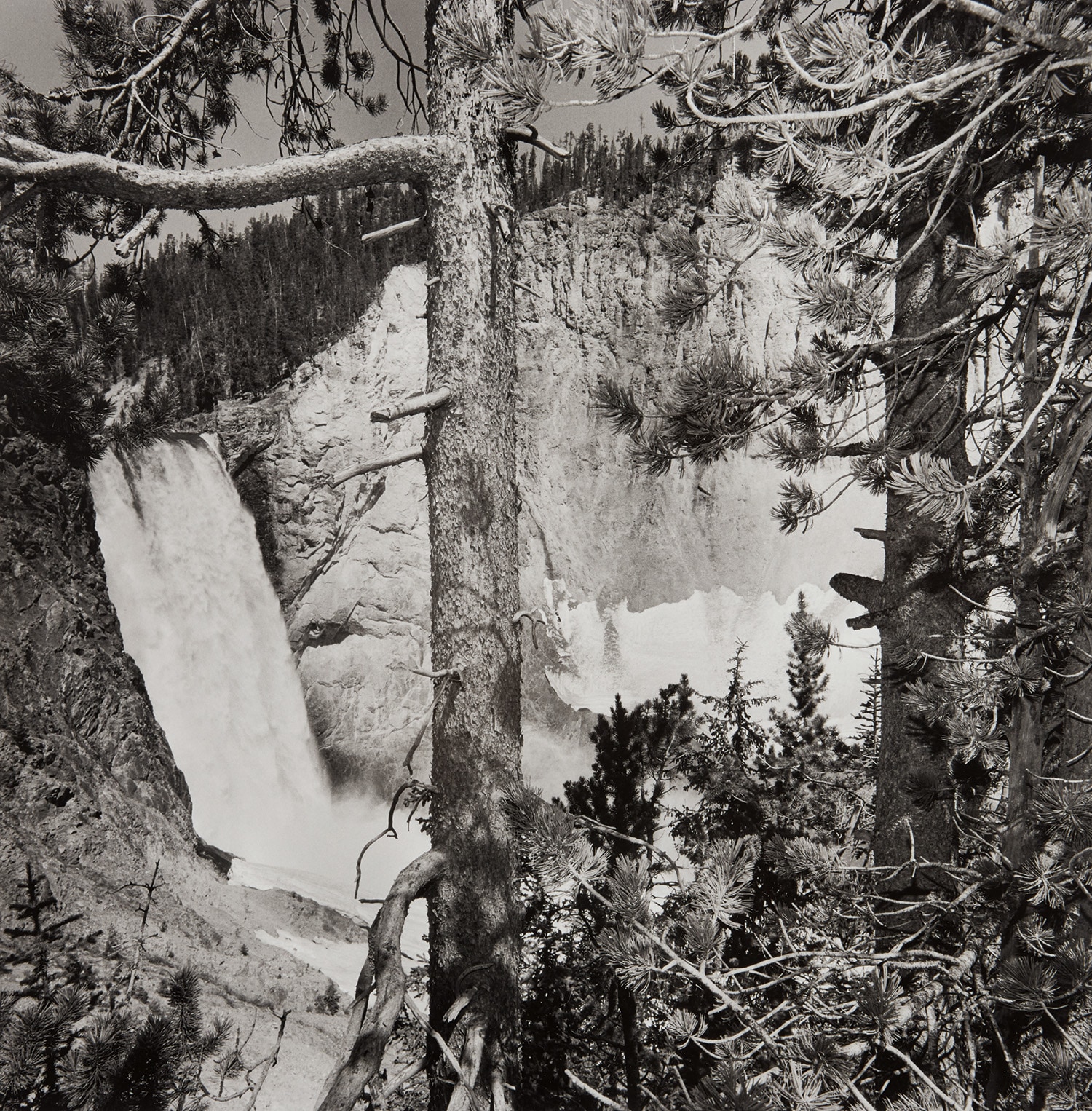 Lee Friedlander — Yellowstone National Park, Wyoming