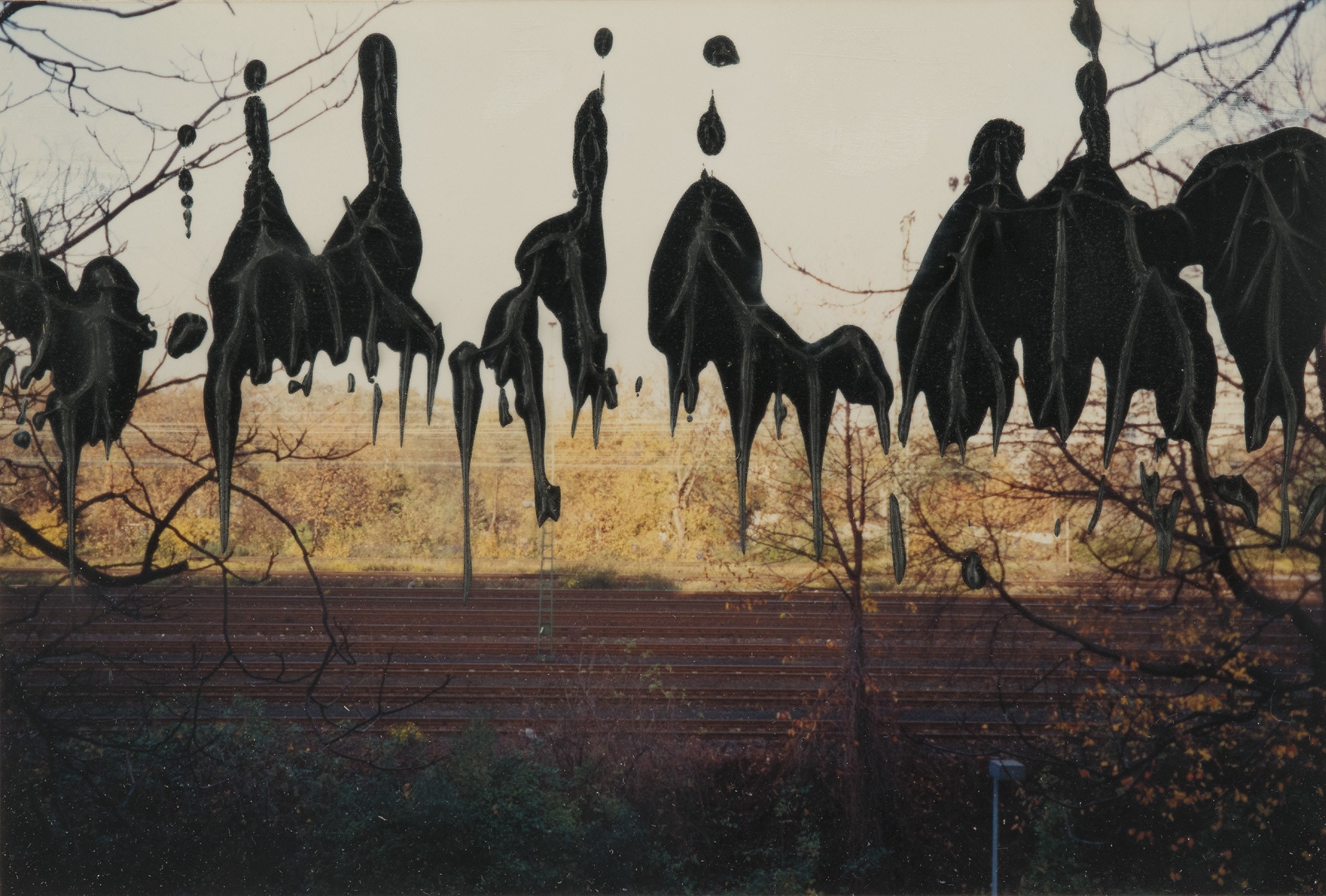 Gerhard Richter — 7.2.96