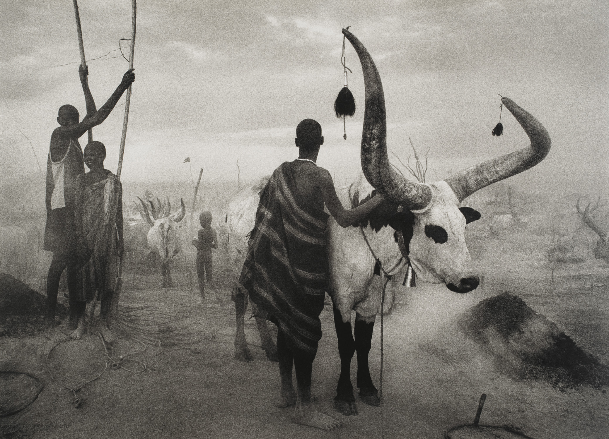 Sebastião Salgado — Dinka Group at Pagarau Cattle Camp, Southern Sudan, Africa