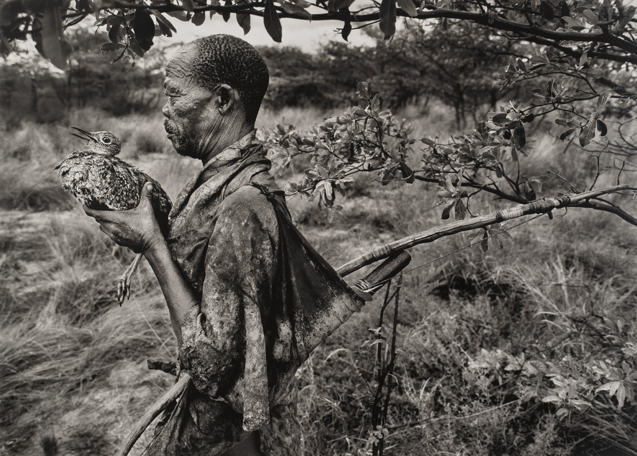 Sebastião Salgado — Bushman, Botswana (holding bird), Africa