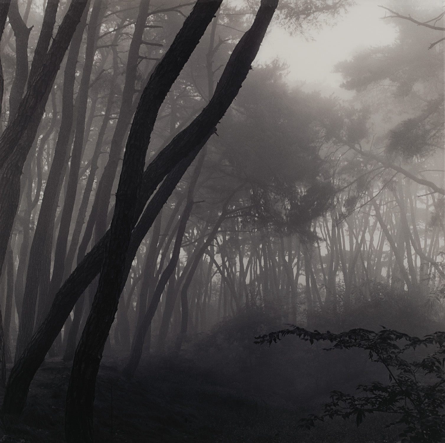 SNM3A-011 from Sonamoo