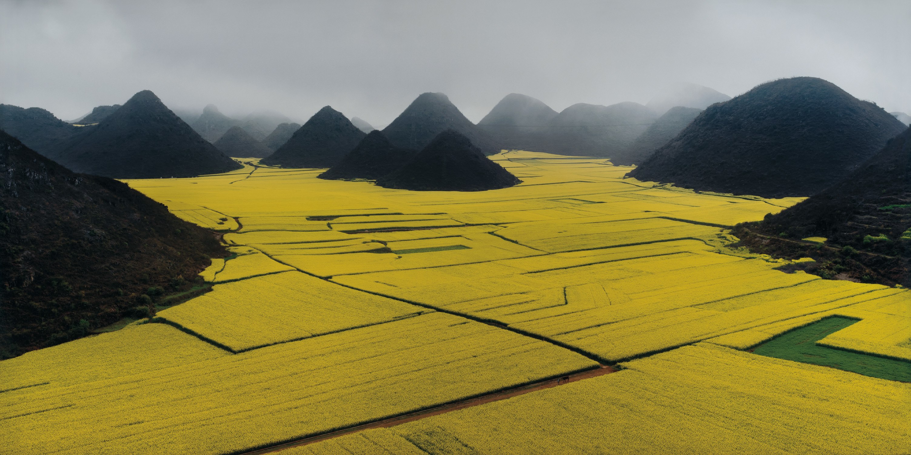 Edward Burtynsky — Canola Fields, Luoping, Yunnan Province, China