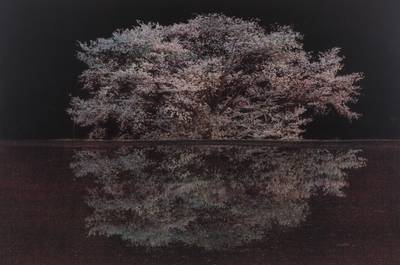 Against the Tide: Isolated from Chasing Good Fortune