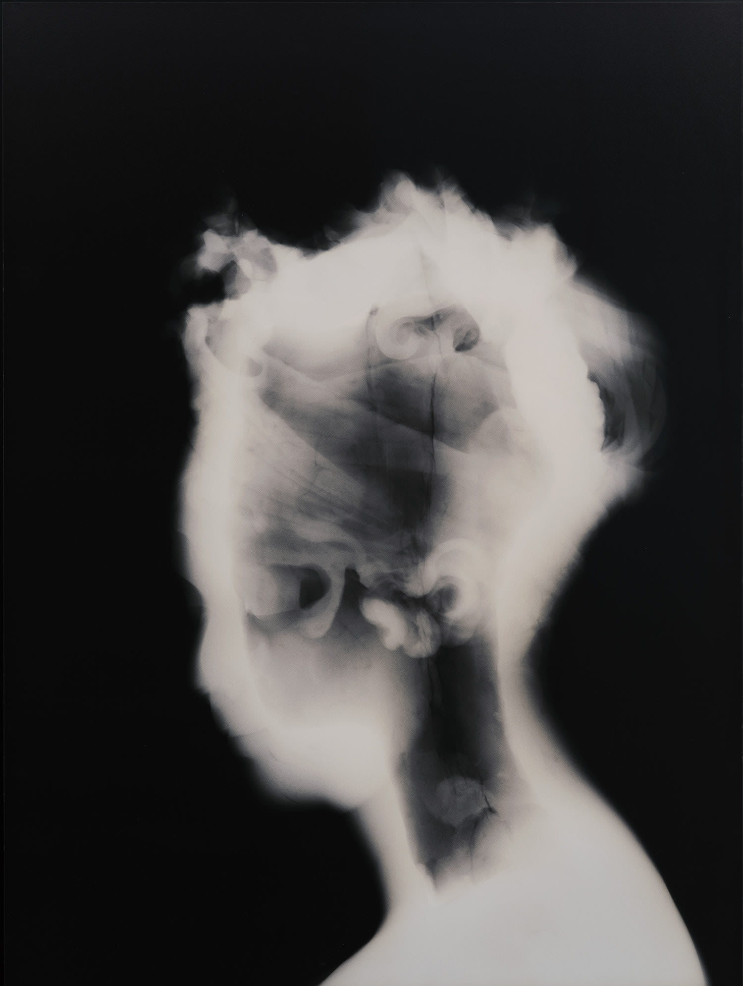 History's Shadow GM12