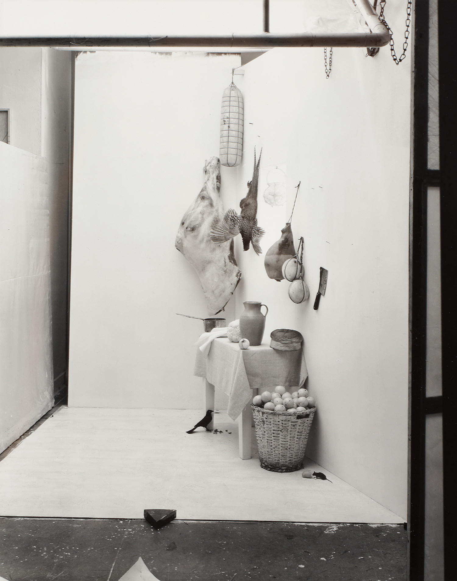 Irving Penn — Still Life (with Mouse), New York