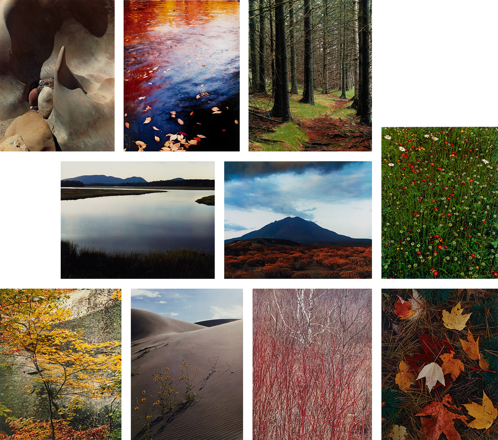 Eliot Porter — In Wildness