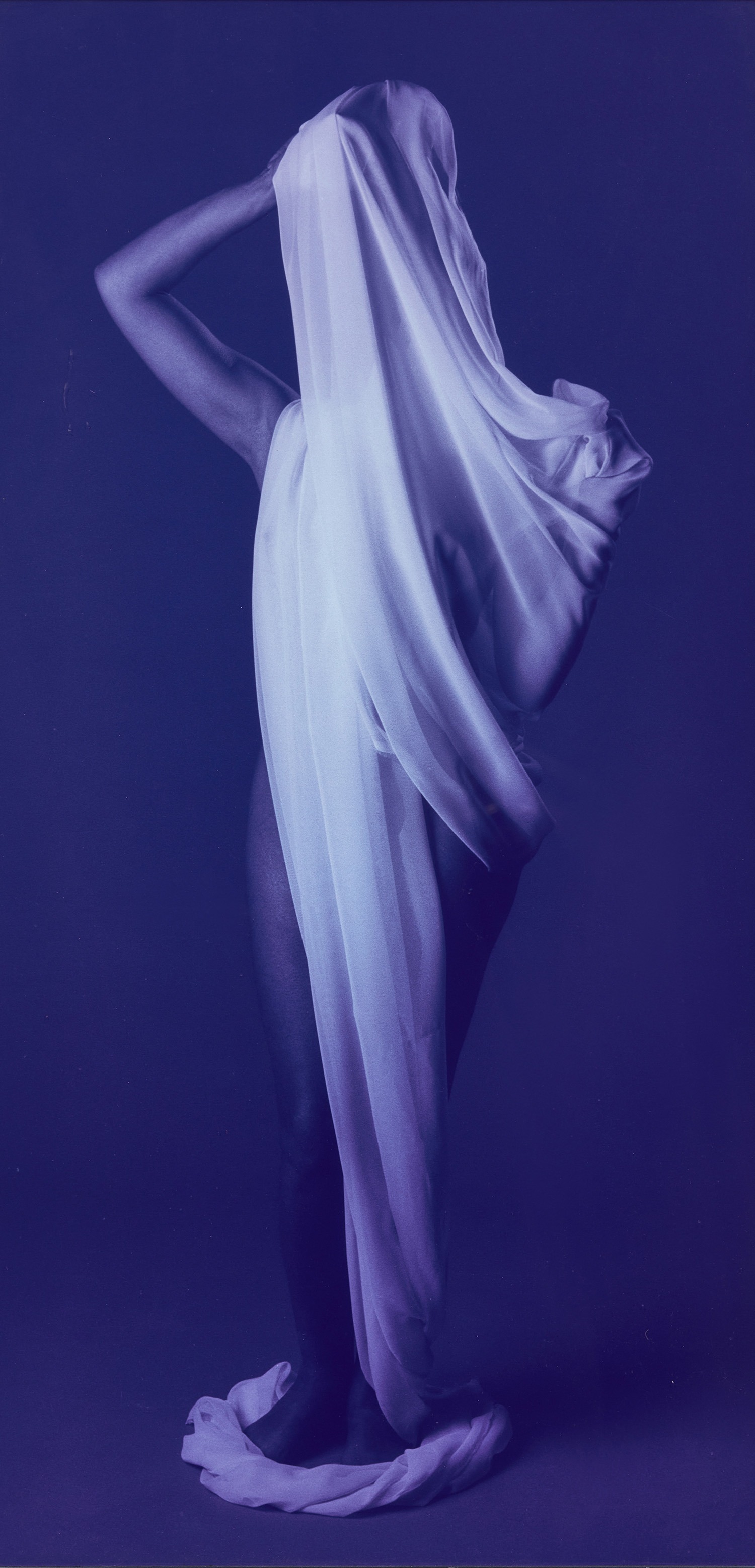 The Apple of Adam’s Eye