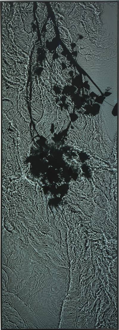 The River Taw (New Moon Ivy), Oct 20.