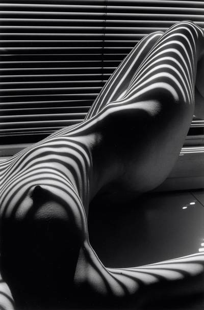 Zebra Nude, New York