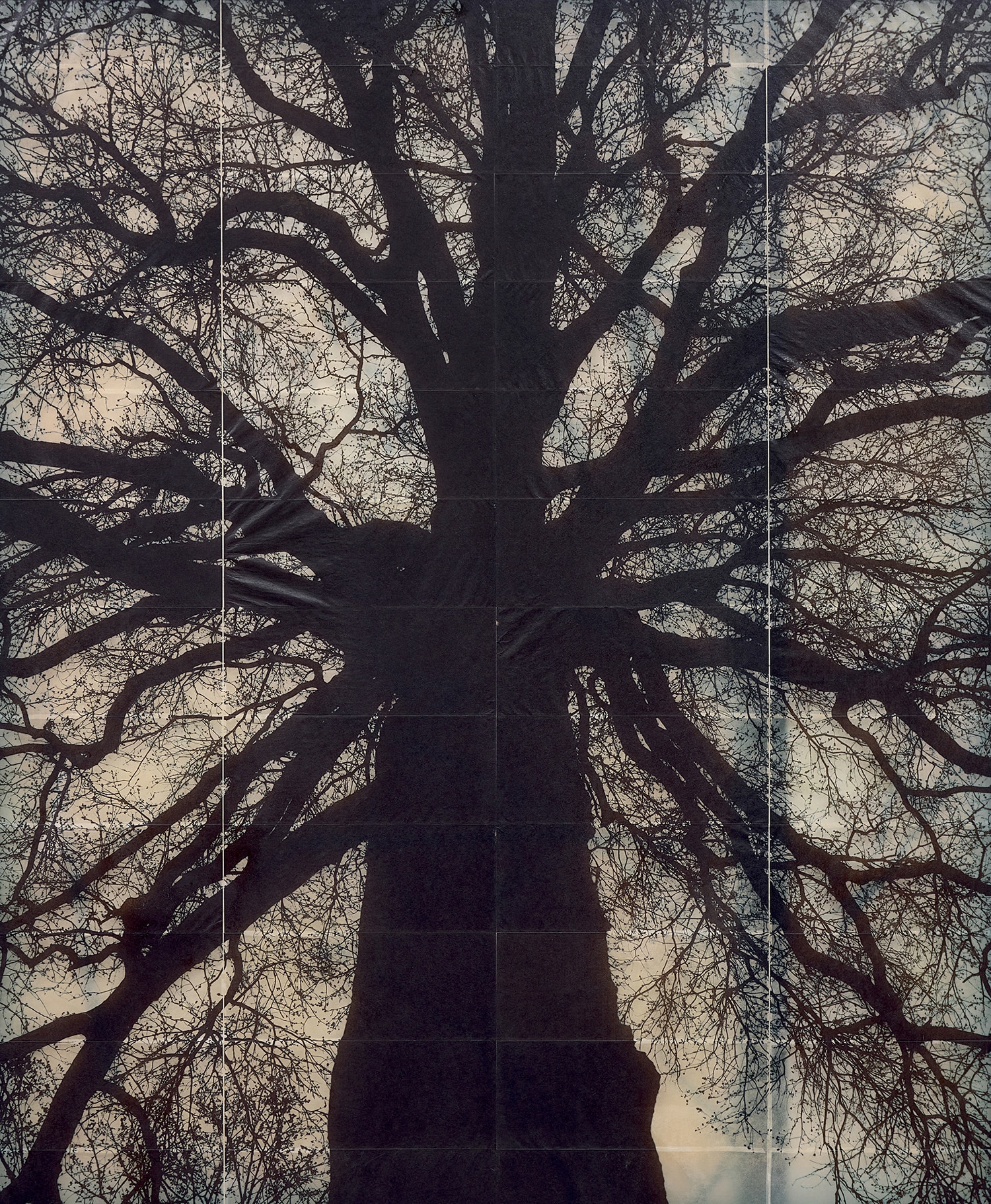 Structure of Thought No. 1