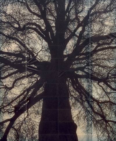 Structure of Thought No. 1