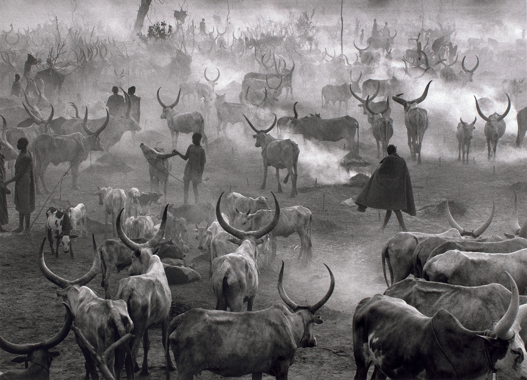 Sebastião Salgado — Dinka Cattle Camp of Amak, Southern Sudan