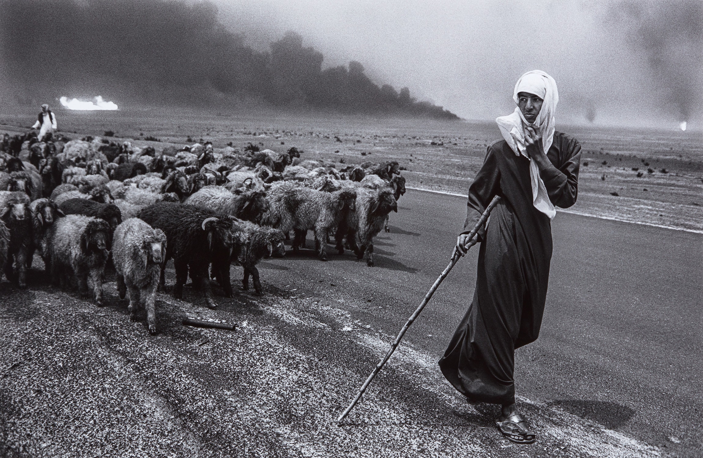Shepherd and sheep, Kuwait