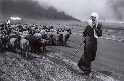 Shepherd and sheep, Kuwait
