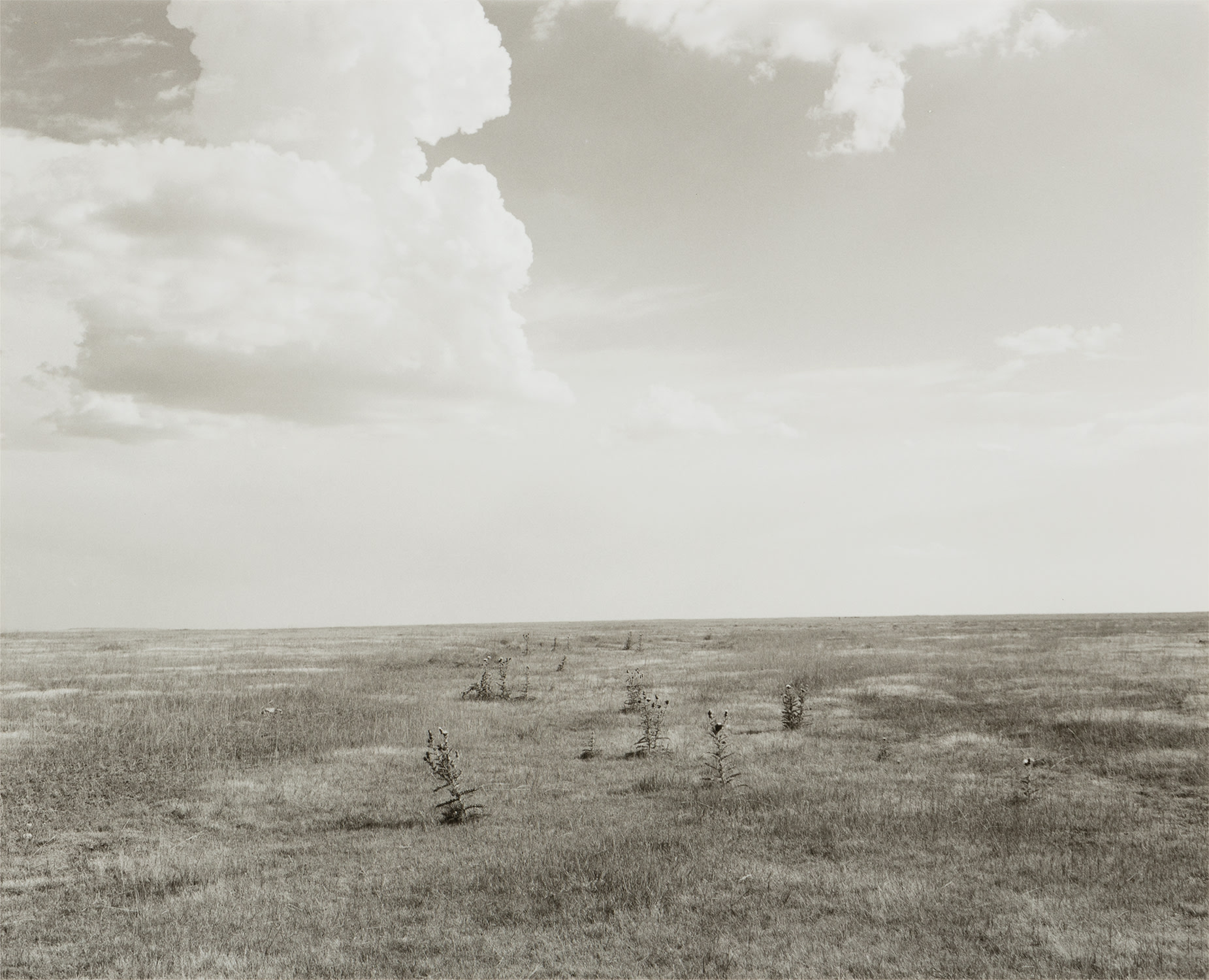 Pawnee National Grasslands, Colorado