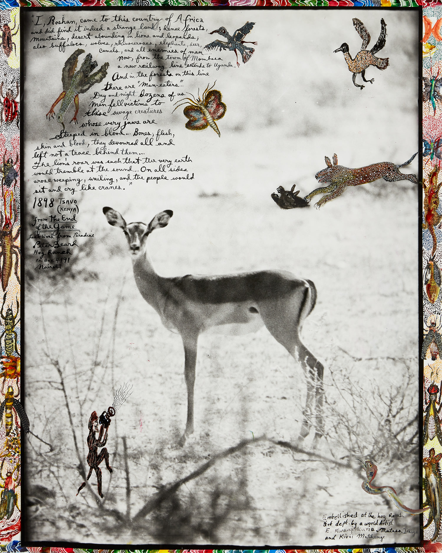 Peter Beard — Impala