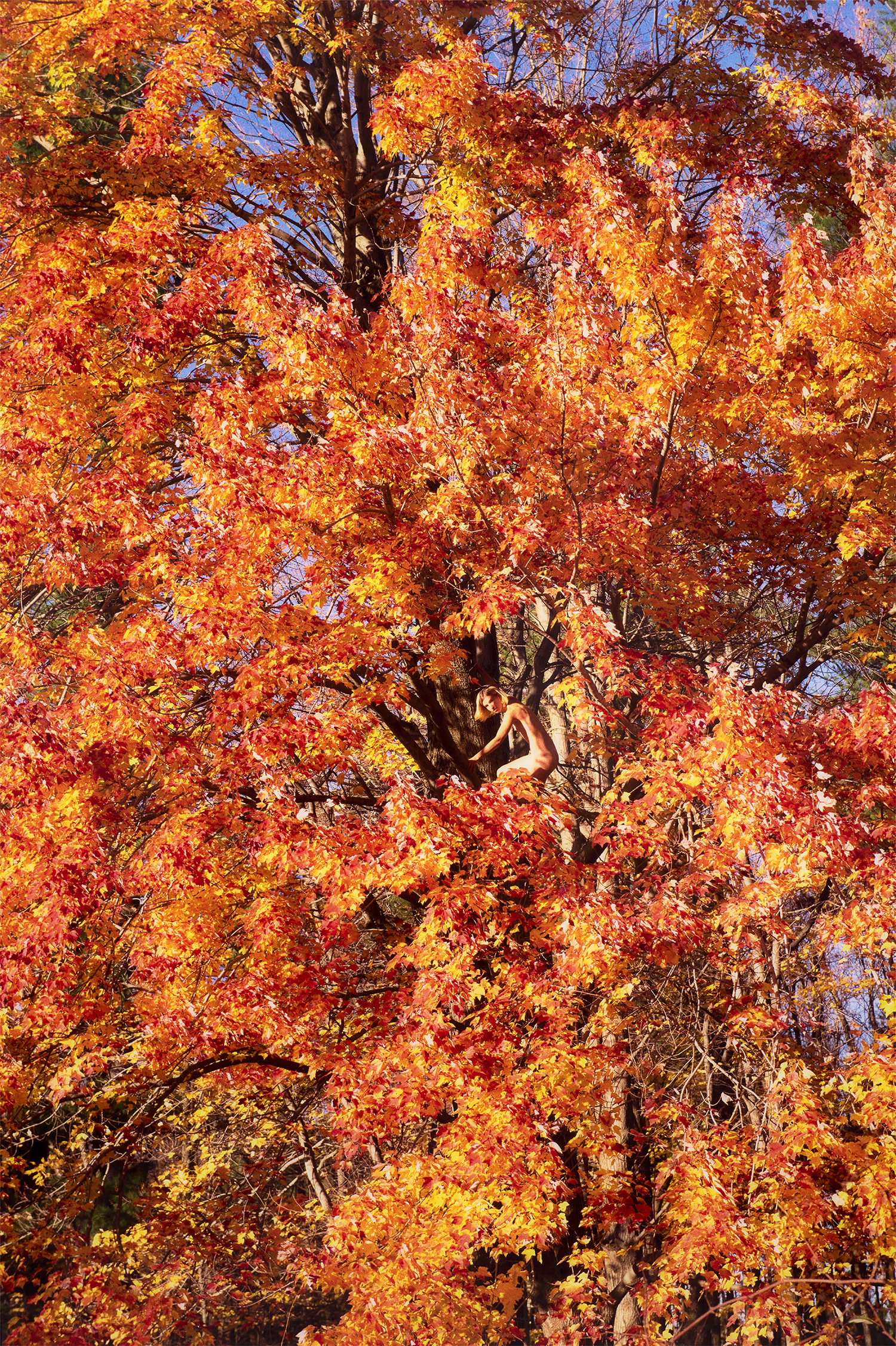 Ryan McGinley — Sugar