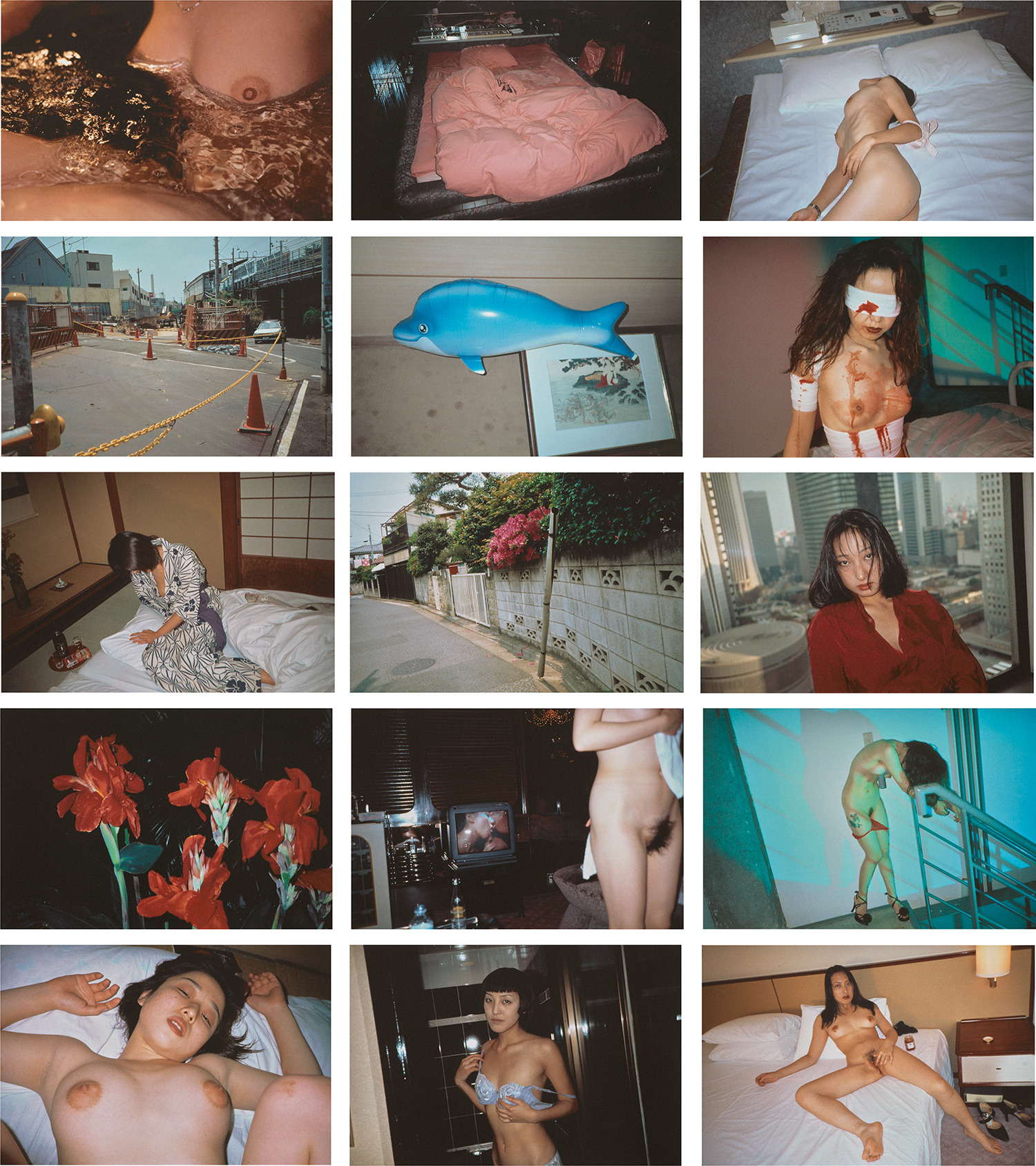 荒木経惟 Nobuyoshi Araki — Shikijo (Sexual Desire) II