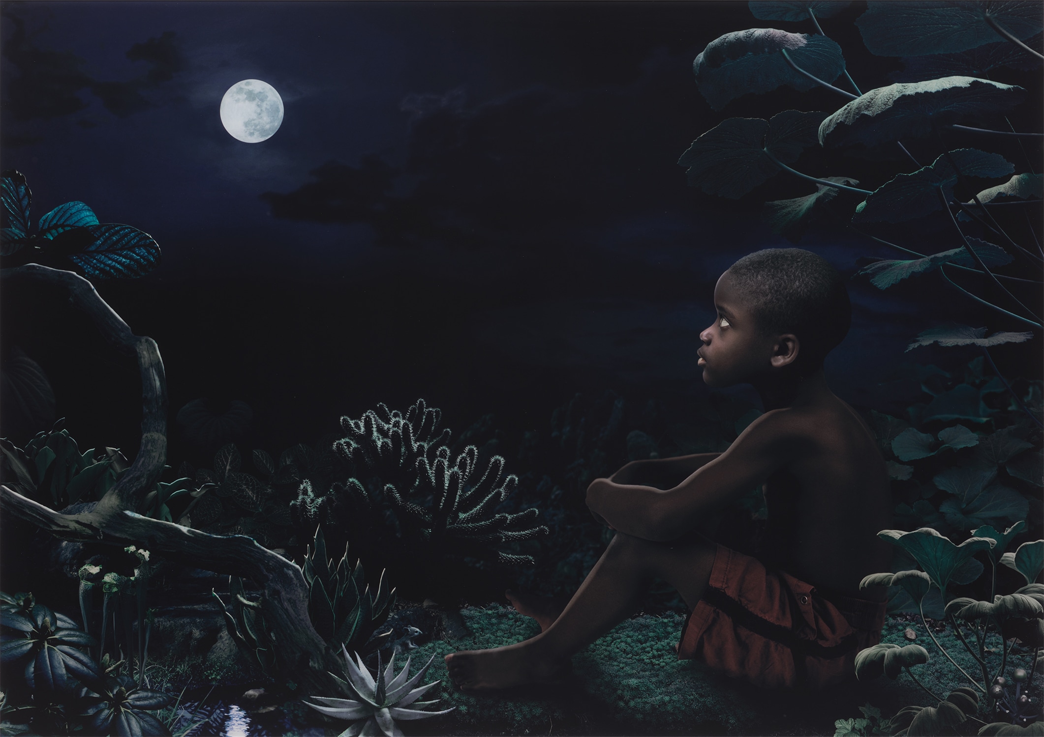 Ruud van Empel — Moon #6